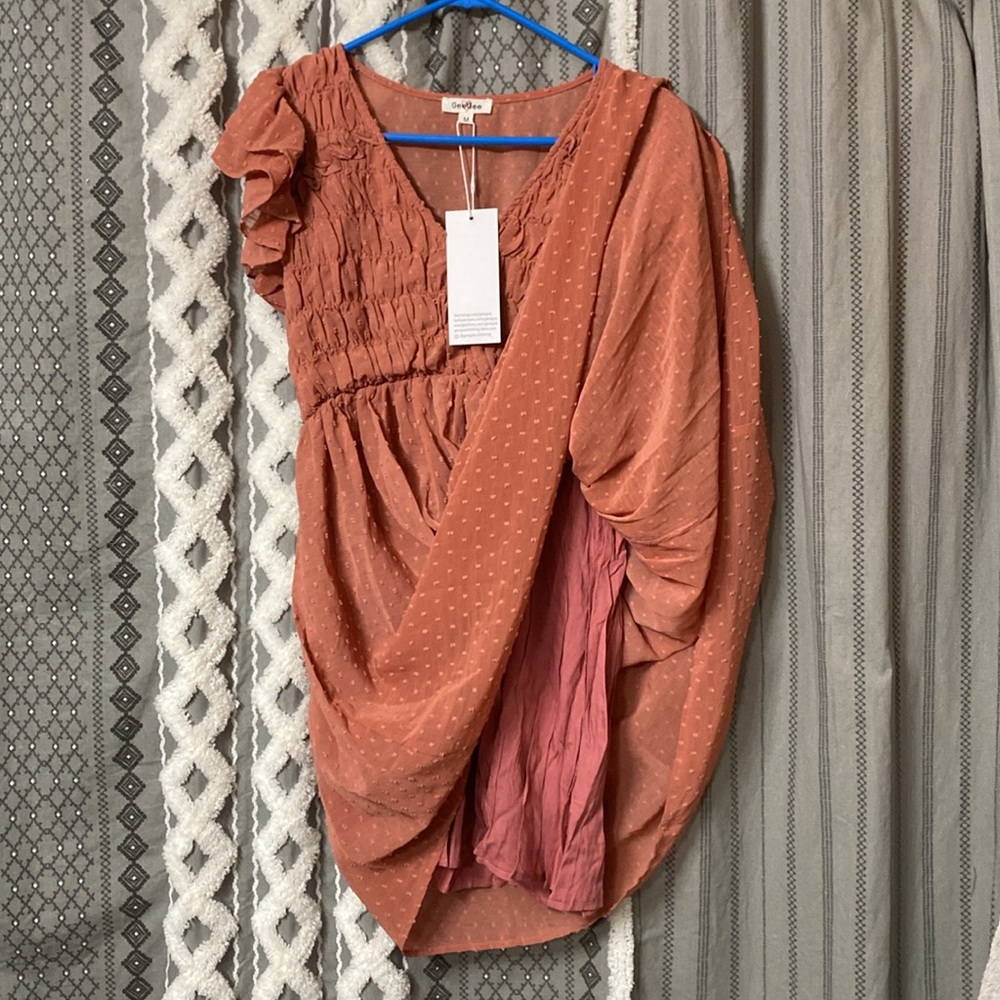 GeeGee Dress - SZ Medium - Terracotta color dress w/lining, swiss dot fabric - Picture 5 of 11